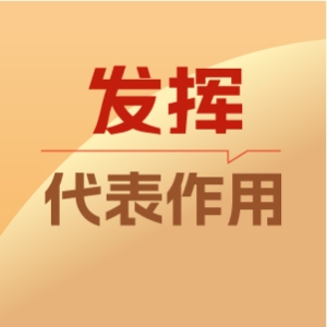 4发挥代表作用